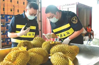 水果進口都要注意哪些問題？進口報關(guān)都需要哪些資料？
